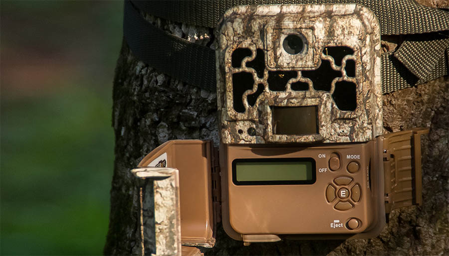 Камера обнаружения движения Камера для наблюдения за дикой природой