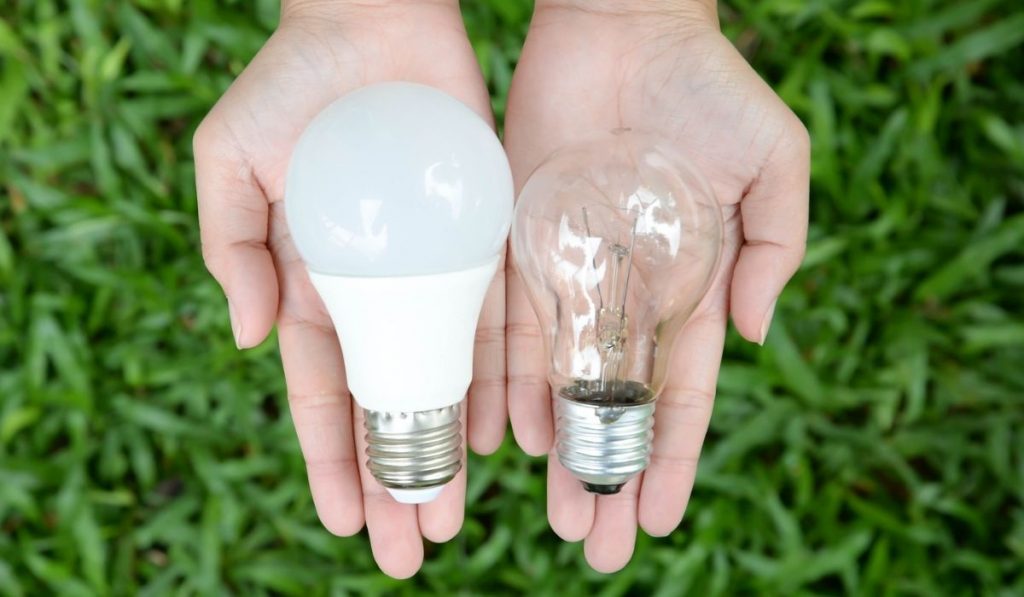 LED and Incandescent bulbs