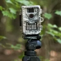 Camouflage game trail camera trap set in the woods