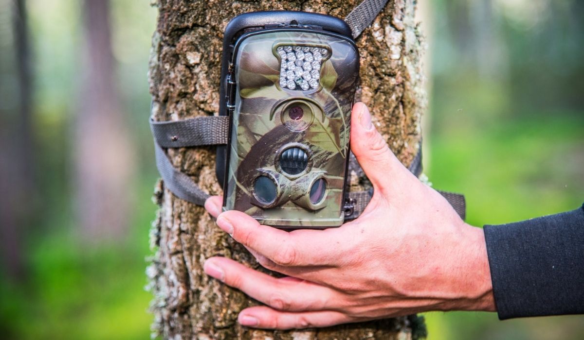 Trail camera adjusting in forest