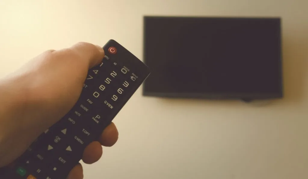 TV remote control in male hands