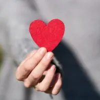 Macro Shot Of Heart Shaped Cut Out