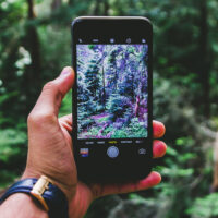 iphone taking a picture in a forest