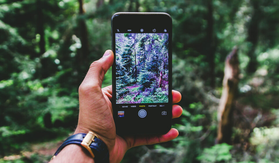 How To Turn Live Photos Off On IPhone To Save On Data how-to-turn-live-photos-off-on-iphone-to-save-on-data